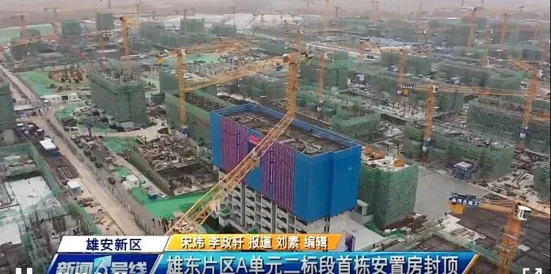 焦點！大將軍驚艷亮相雄安德維斯建博會，流量爆棚引圍觀！(圖7)