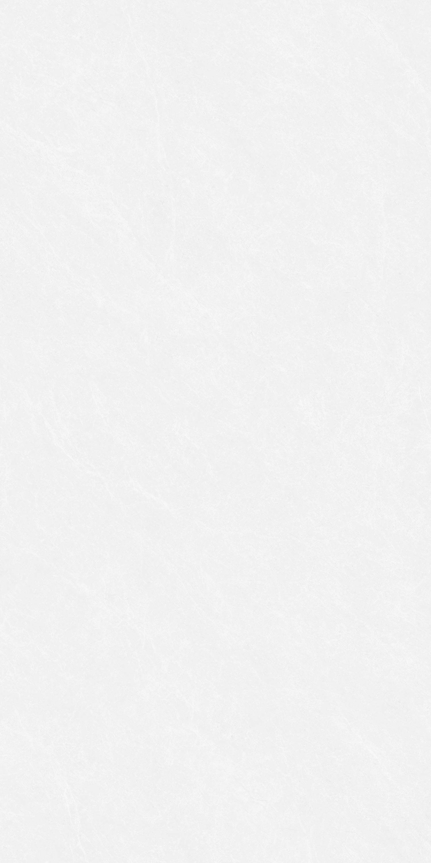 巴里白灰 QDY1781G產(chǎn)品圖