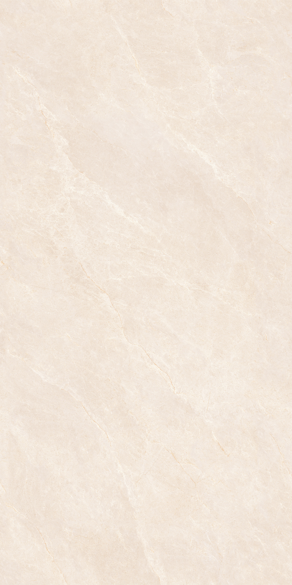瑪朵莉莎 MS175916XT產(chǎn)品圖