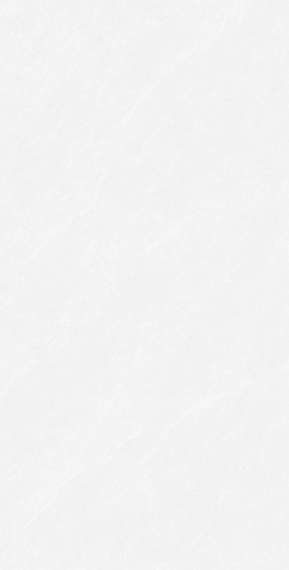 巴里白灰 QDY1281G產(chǎn)品圖
