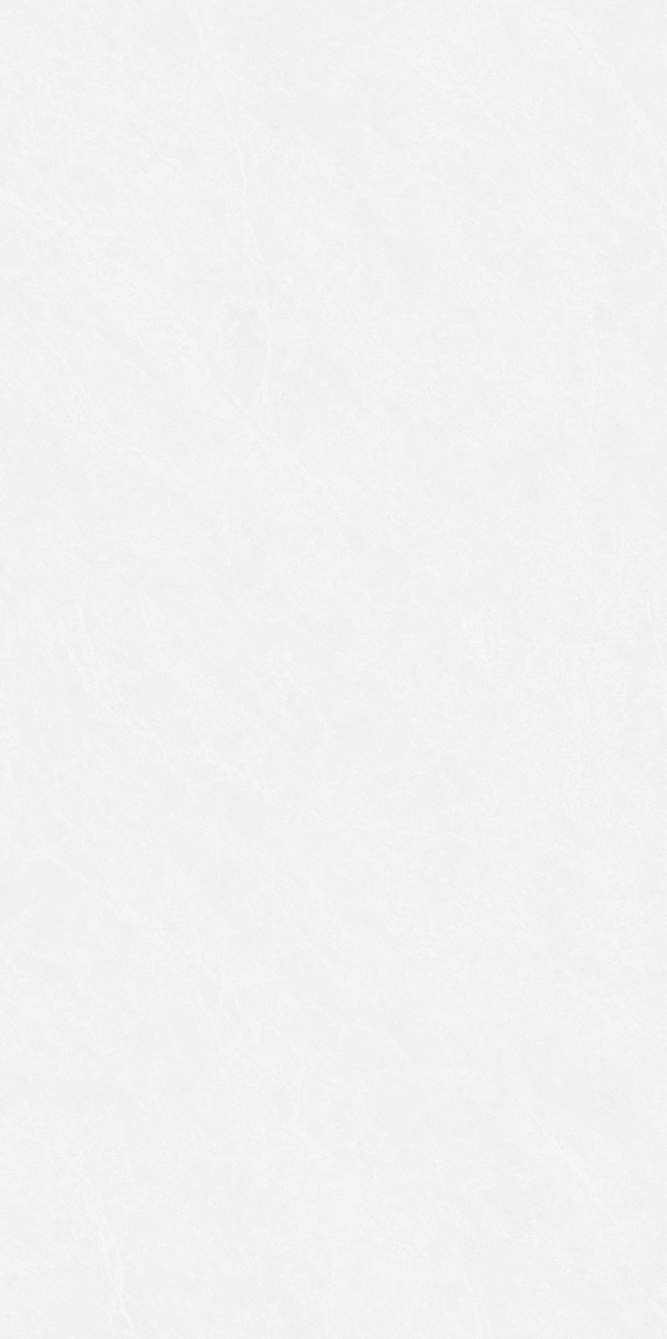 巴里白灰 QDY1781G產(chǎn)品圖