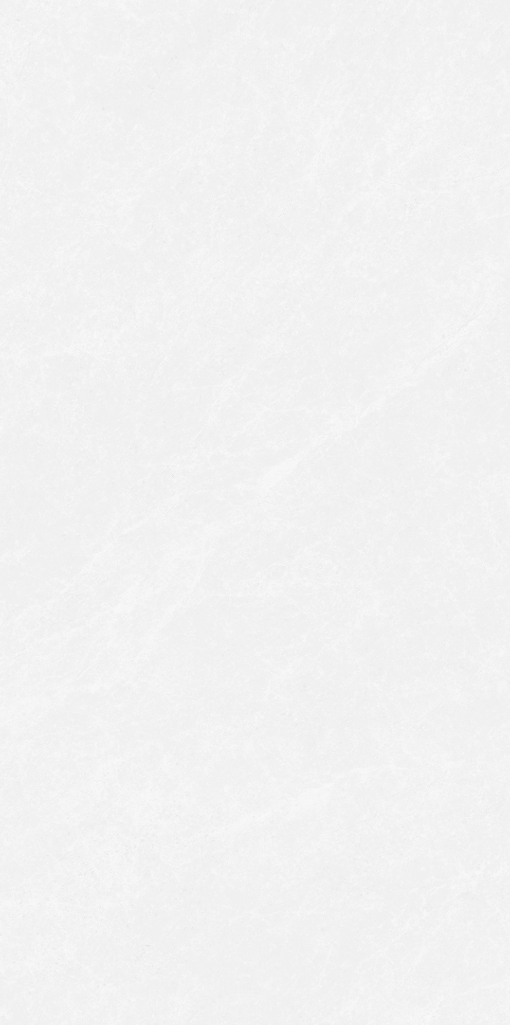 巴里白灰 QDY8481G產(chǎn)品圖