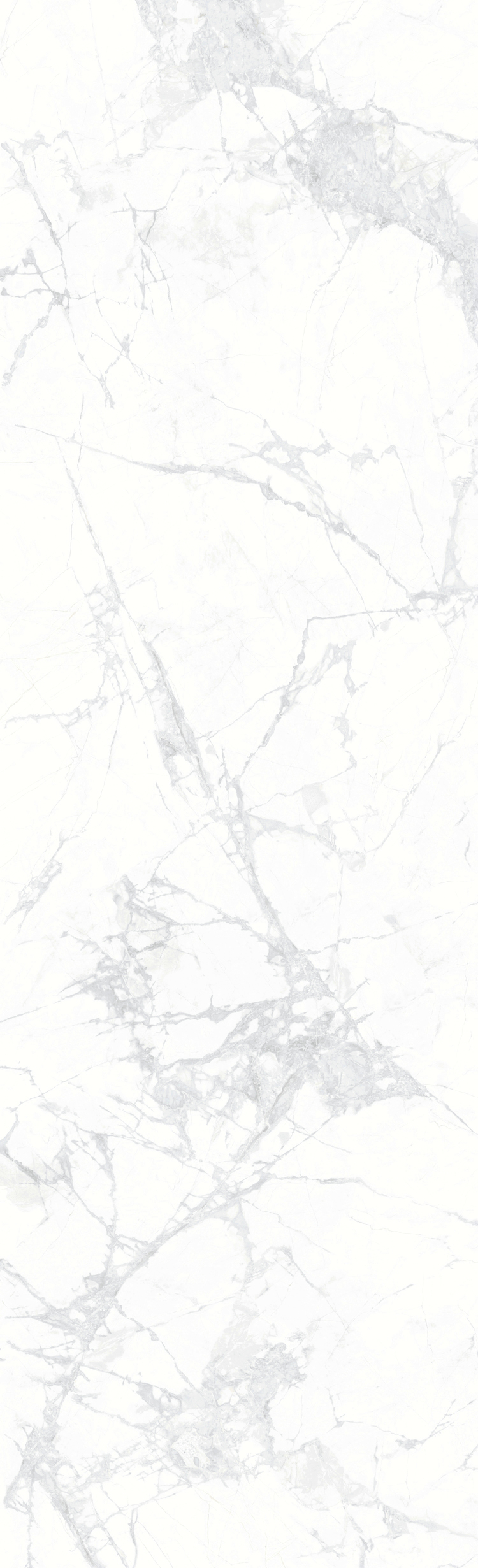 寒江雪 M826X50002產(chǎn)品圖