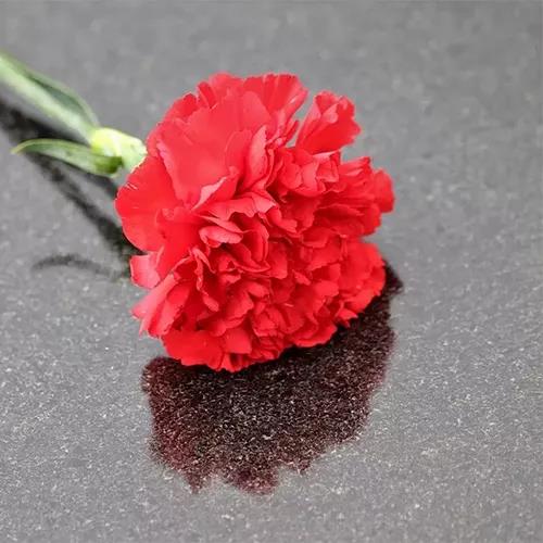 攻略丨了解多姿多彩的瓷磚紋理，才能裝出時(shí)尚有范的美好生活！
(圖3)