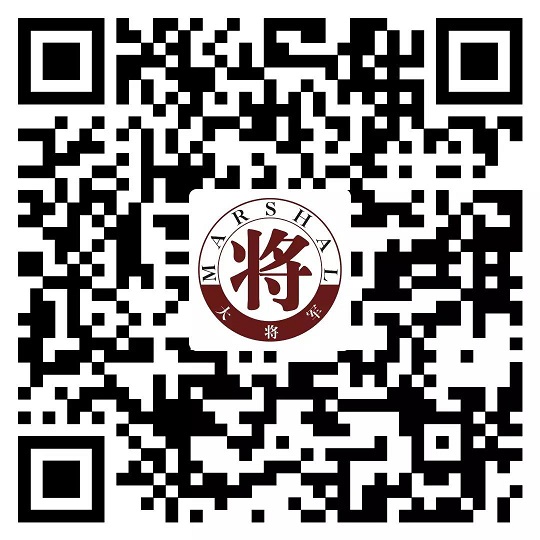 攻略丨了解多姿多彩的瓷磚紋理，才能裝出時(shí)尚有范的美好生活！
(圖14)