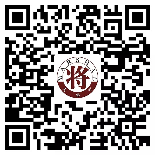 攻略丨了解多姿多彩的瓷磚紋理，才能裝出時(shí)尚有范的美好生活！
(圖8)