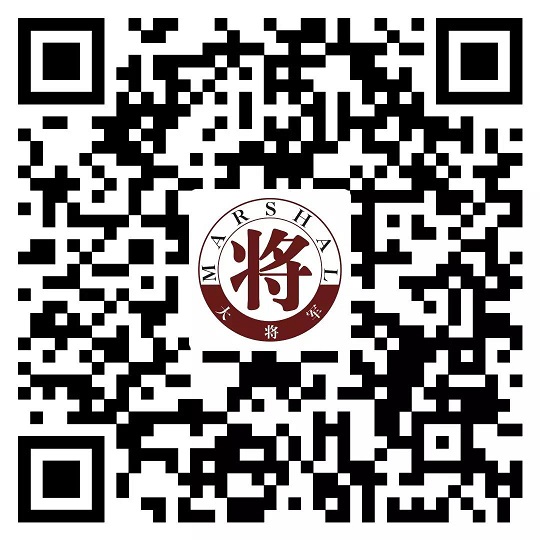 攻略丨了解多姿多彩的瓷磚紋理，才能裝出時(shí)尚有范的美好生活！
(圖17)