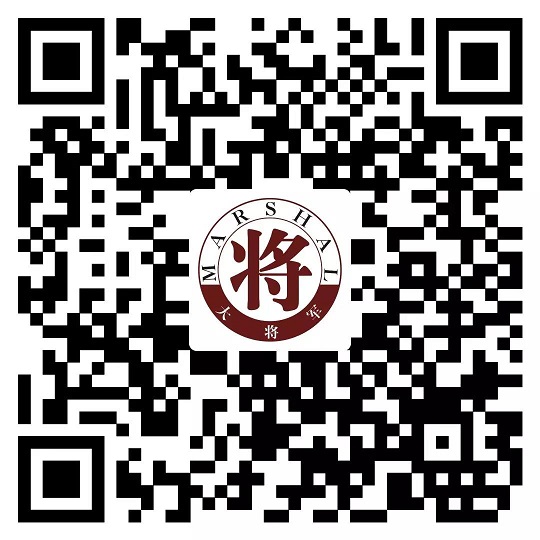 攻略丨了解多姿多彩的瓷磚紋理，才能裝出時(shí)尚有范的美好生活！
(圖11)