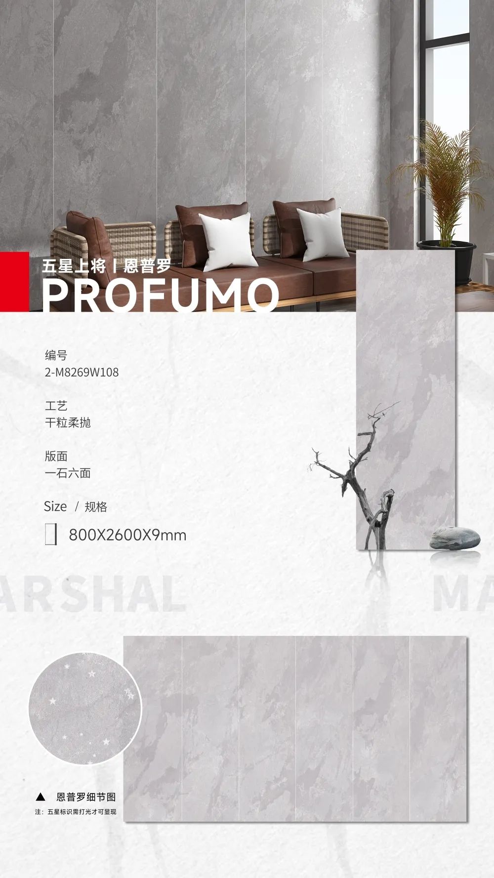 五星上將| 超級(jí)IP產(chǎn)品，打造理想生活樣本(圖7)