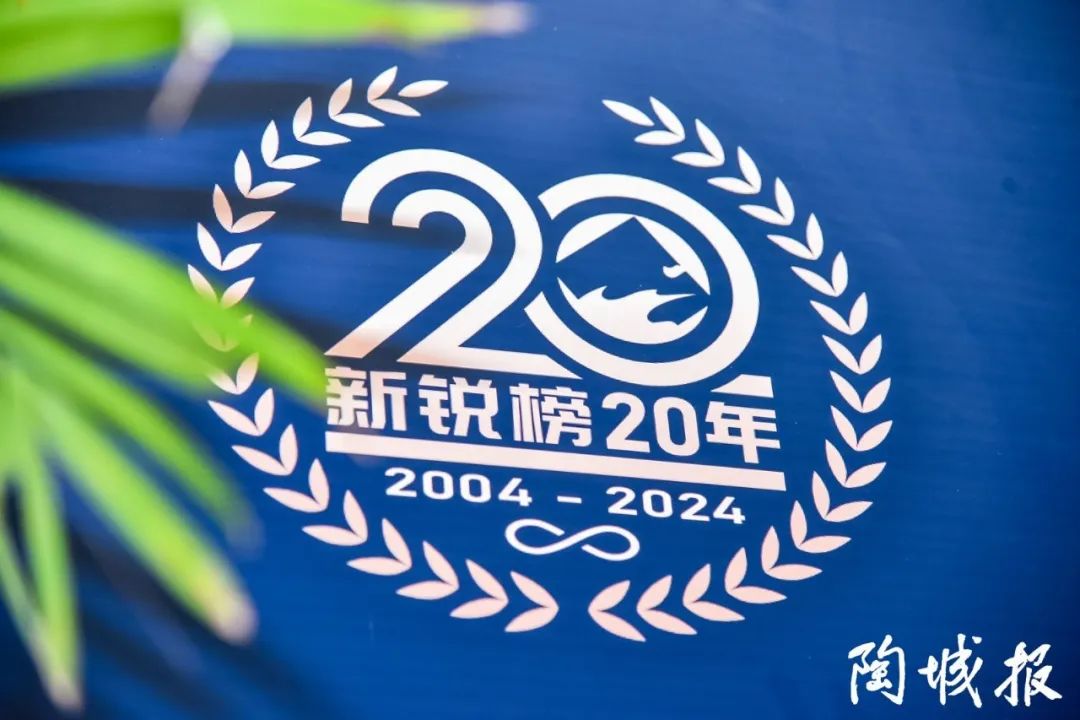 卓越力量，載譽領航！大將軍瓷磚實力斬獲“新銳榜20年卓越品牌”榮譽(圖3)
